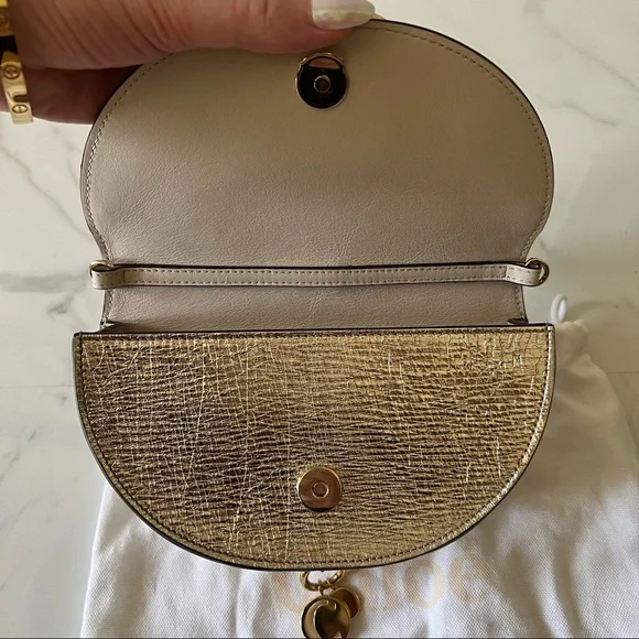 Chloe small Nile metallic leather minaudiere - Picture 4 of 10